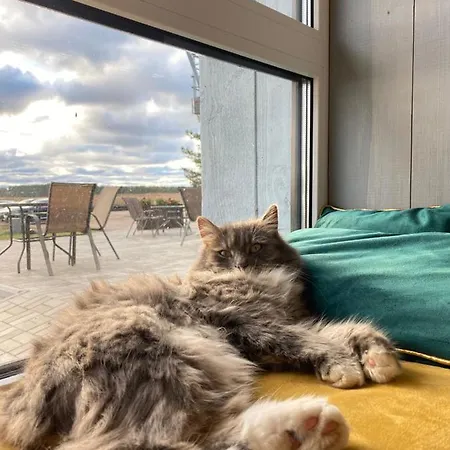 Sadam & Restoran Wirkes'