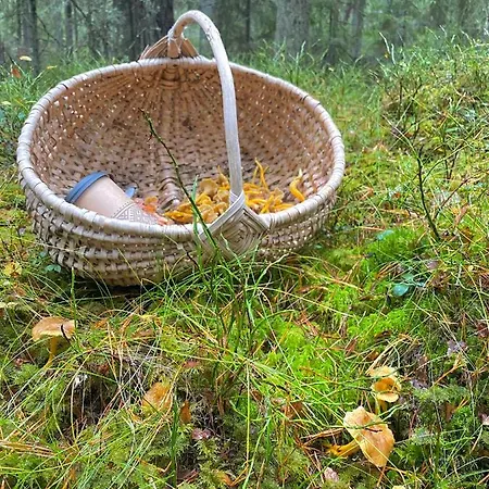 Sadam & Restoran Wirkes' * Vergi