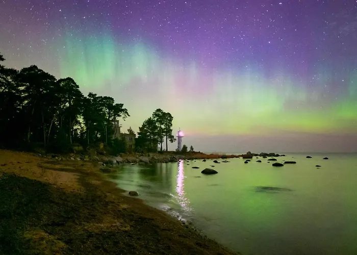 Sadam & Restoran Wirkes' Otel Vergi