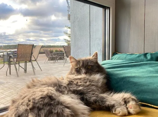 Sadam & Restoran Wirkes'