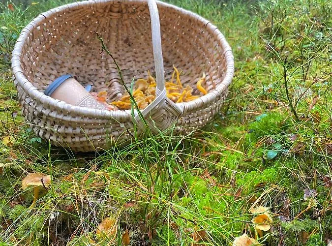 Sadam & Restoran Wirkes' * Vergi