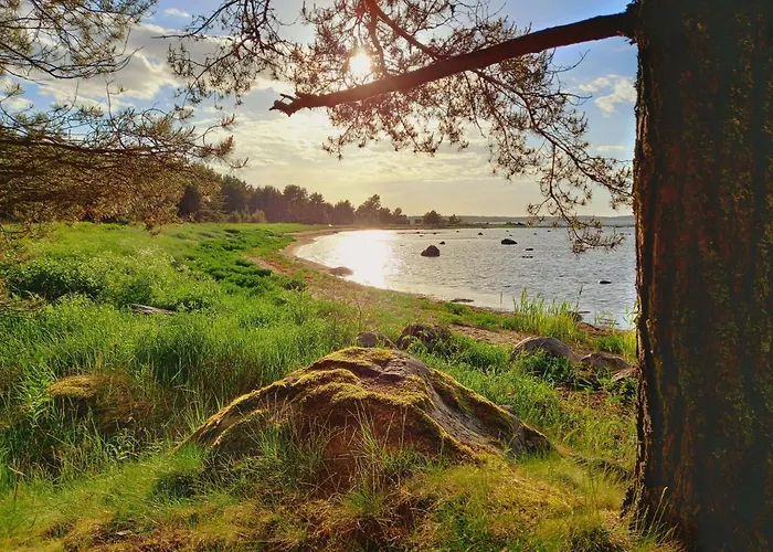 Otel Sadam & Restoran Wirkes' Vergi